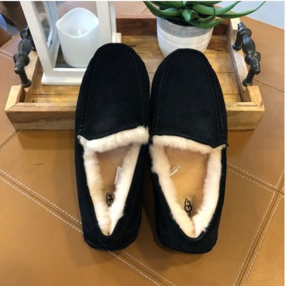 mens ugg ascot slippers black